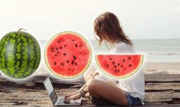 吃瓜研究聚集地