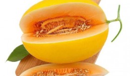 吃瓜集合更新