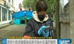 舒兰心声吃瓜后续,揭秘真相，还原事件全貌