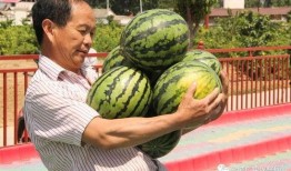 吃瓜演出,娱乐圈幕后风云