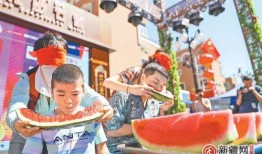 吃瓜演出,娱乐圈幕后风云