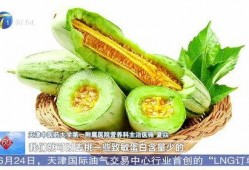 中国吃蜜瓜视频,中国美食视频带你领略甜蜜诱惑