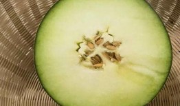 吃蜜瓜的籽可吃吗?,美味与营养的双重享受