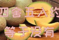 熊猫吃蜜瓜视频