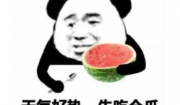 吃瓜表情怎么回