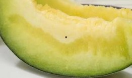 吃蜜瓜的籽可吃吗?,美味与营养的双重享受