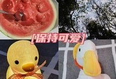 夏天吃瓜vlog