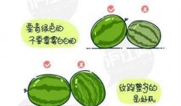 怎么用夸克吃瓜,轻松解锁美食新体验