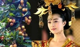 覆流年皇上吃瓜,皇上吃瓜，宫廷风云再起