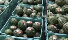 吃瓜研究聚集地