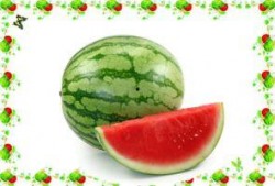 小说里面的吃瓜