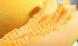 吃哈密瓜补充,夏日消暑、补充营养的天然佳品