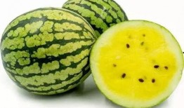 老浪吃瓜,揭秘娱乐圈那些不为人知的幕后故事