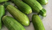 小角瓜怎么给宝宝吃,小角瓜宝宝辅食制作攻略