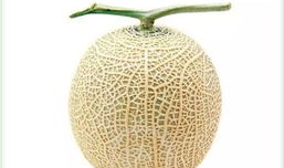 最淡定吃瓜,揭秘娱乐圈幕后真相