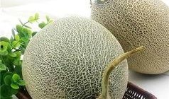 吃哈密瓜补充,夏日消暑、补充营养的天然佳品