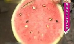 捎瓜吃的好处,捎瓜吃，健康美味两不误