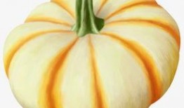 吃瓜天降大瓜图片,天降大瓜！吃瓜群众见证惊世奇观