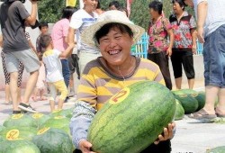 莱州沙河吃瓜群众,吃瓜群众的夏日狂欢现场