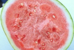 优奈吃瓜,揭秘娱乐圈幕后真相