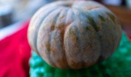 四人吃瓜图片,四口之家共享夏日瓜果时光