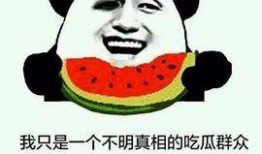 出轨吃瓜群众,吃瓜群众热议娱乐圈最新八卦