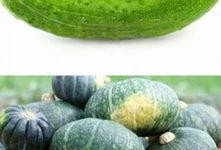 面瓜是什么瓜可以吃吗,这种瓜真的可以食用吗？