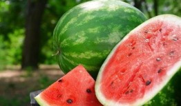 瓜怎么储存冬天吃,瓜类储存指南，轻松过冬享鲜甜