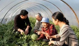 社牛吃瓜,揭秘社交圈中的热点事件与人物