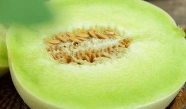 冰淇淋甜玉瓜怎么吃,夏日清凉新食尚，美味与营养兼得