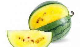 膏瓜怎么吃才好吃,解锁最佳口感之道