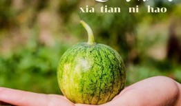 小涵专业吃瓜,揭秘娱乐圈幕后真相