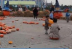 游乐场吃瓜事件,一场意外的“甜蜜”风波