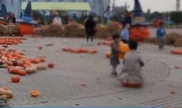 游乐场吃瓜事件,一场意外的“甜蜜”风波