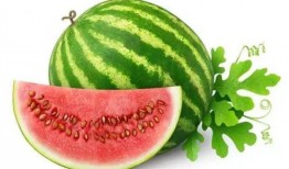 小程序有瓜吃瓜,轻松畅享瓜界盛宴的小程序体验