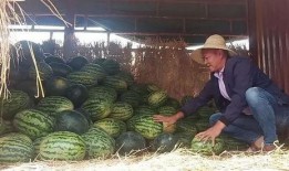 吃瓜忽然腰疼,揭秘吃瓜引发的腰痛之谜