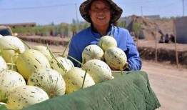 太和县盲人吃瓜,感受生活美好，共享人间烟火