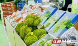 长沙吃瓜栏,吃瓜栏里的风味盛宴