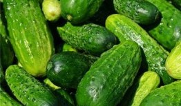 梦见吃波兰瓜,波兰瓜的神秘启示