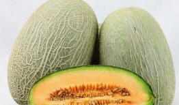 吃哈密瓜补充,夏日消暑、补充营养的天然佳品