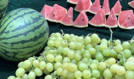 山东直播吃瓜,一场别开生面的网络盛宴