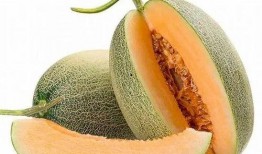 吃哈密瓜的时节,哈密瓜的甜蜜盛宴