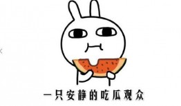 热门 吃瓜 事件,真相与舆论的碰撞