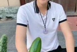 泡泡吃瓜网站是多少,数字背后的秘密解析