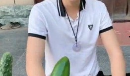 泡泡吃瓜网站是多少,数字背后的秘密解析