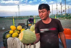 涿州吃瓜哥,揭秘网络红人的崛起之路