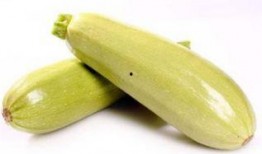 茭瓜烂了可以吃吗,茭瓜烂了还能吃吗？揭秘食品安全与保存技巧