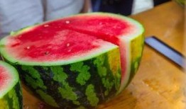 石狮海洋学校吃瓜,揭秘校园里的“瓜田”趣闻