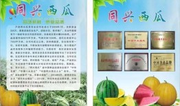 吃瓜预告怎么写,一窥娱乐圈幕后风云