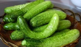 吃瓜金水湾,探寻美食与生活的完美融合